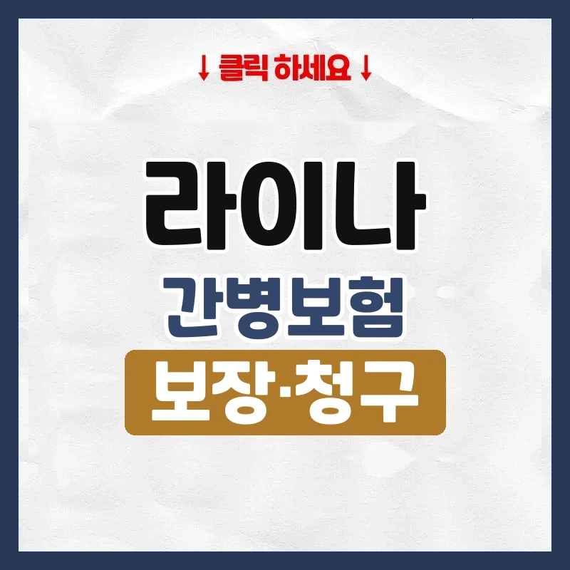 라이나간병보험